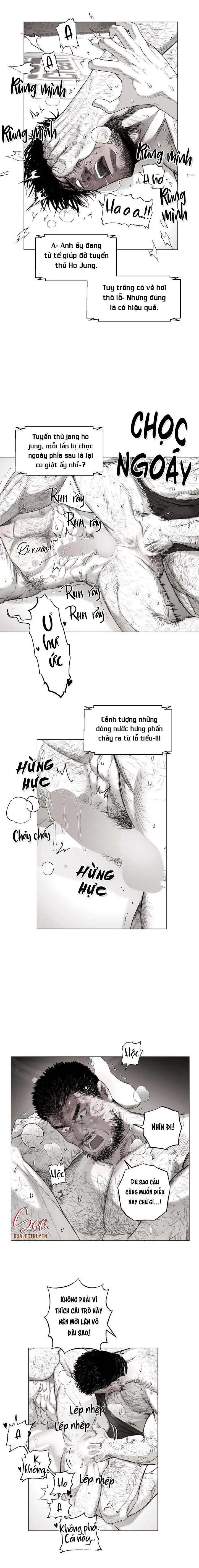 NHÀ VÔ ĐỊCH NGOAN CƯỜNG Chapter 15 Trang 10