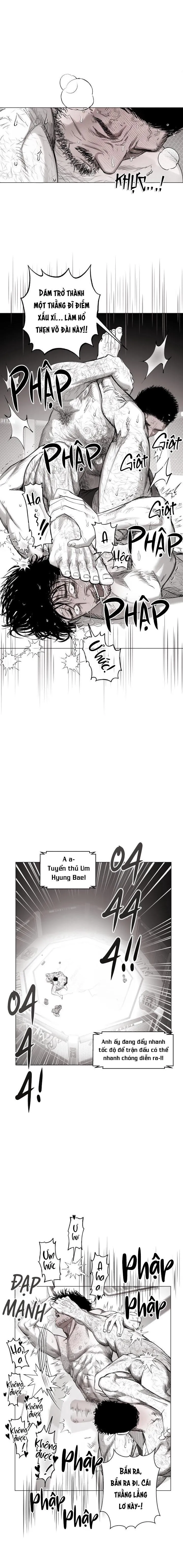 NHÀ VÔ ĐỊCH NGOAN CƯỜNG Chapter 15 Trang 12