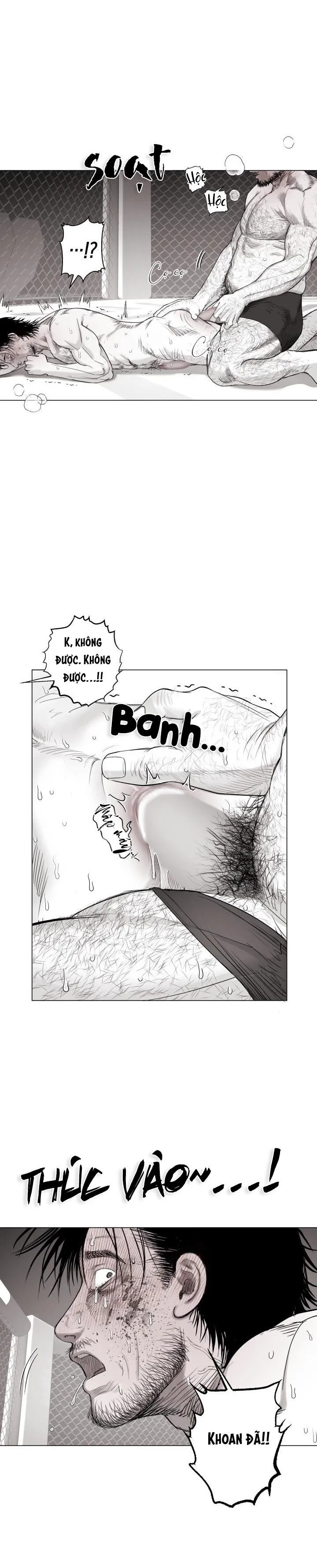 NHÀ VÔ ĐỊCH NGOAN CƯỜNG Chapter 16 Trang 8