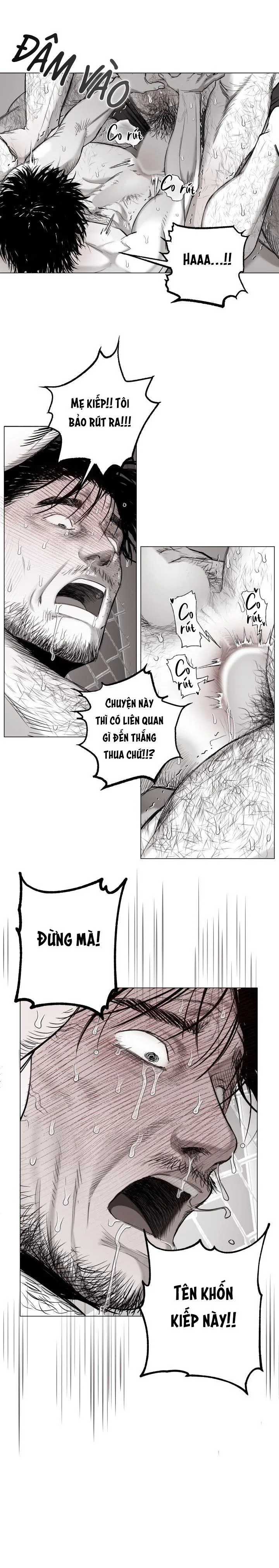 NHÀ VÔ ĐỊCH NGOAN CƯỜNG Chapter 16 Trang 13