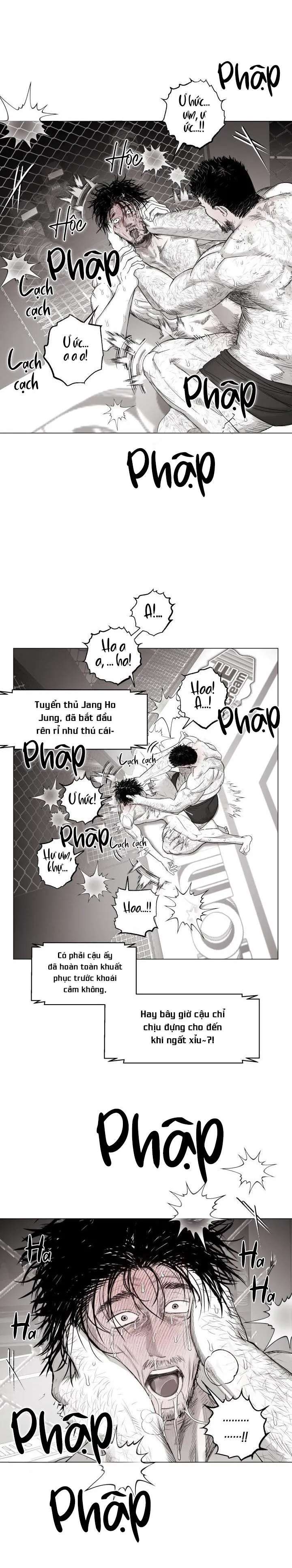 NHÀ VÔ ĐỊCH NGOAN CƯỜNG Chapter 16 Trang 17