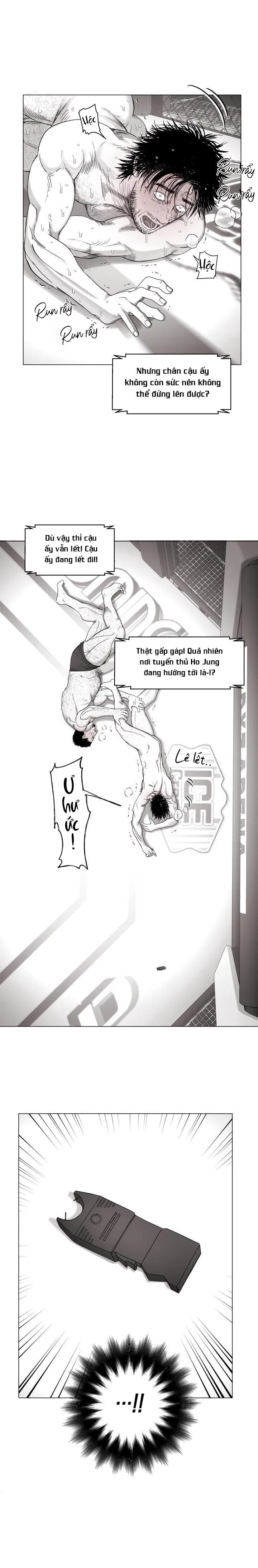 NHÀ VÔ ĐỊCH NGOAN CƯỜNG Chapter 16 Trang 19