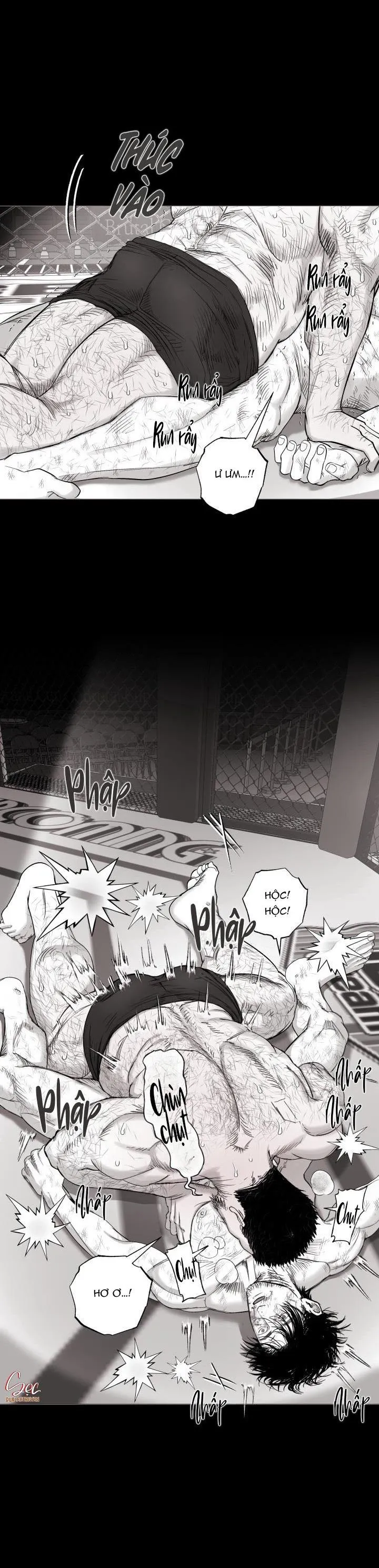 NHÀ VÔ ĐỊCH NGOAN CƯỜNG Chapter 17 Trang 7