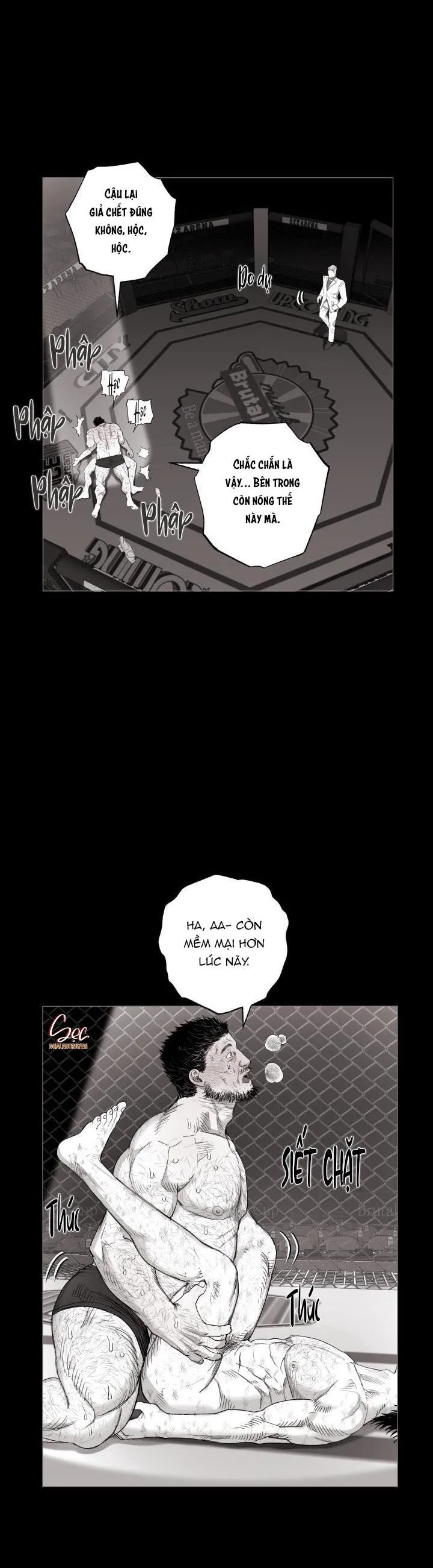 NHÀ VÔ ĐỊCH NGOAN CƯỜNG Chapter 17 Trang 8