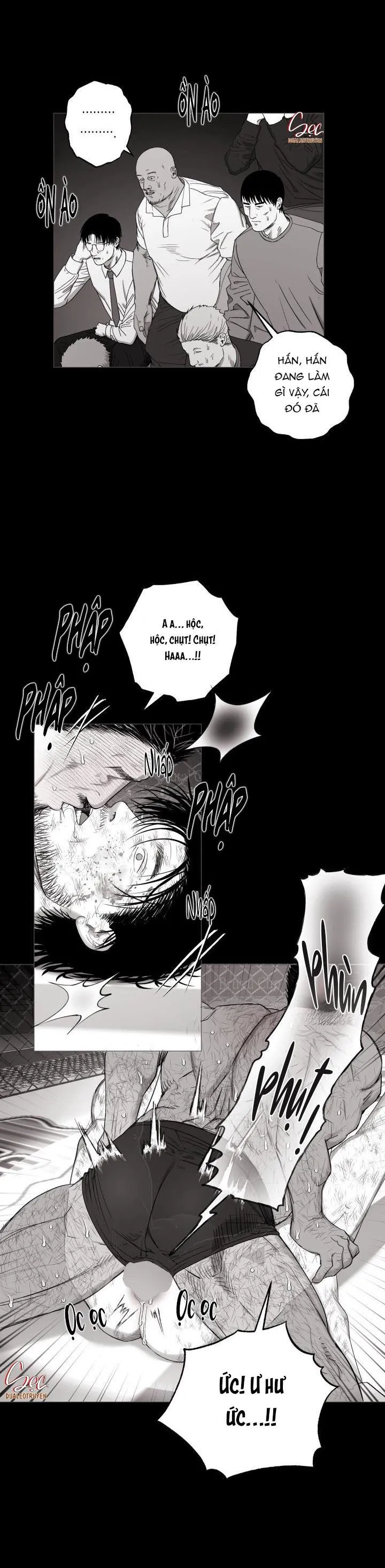 NHÀ VÔ ĐỊCH NGOAN CƯỜNG Chapter 17 Trang 10