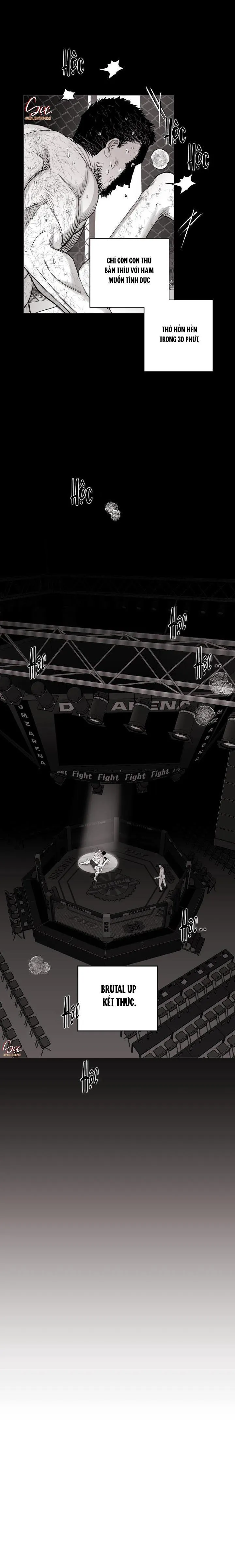 NHÀ VÔ ĐỊCH NGOAN CƯỜNG Chapter 17 Trang 13