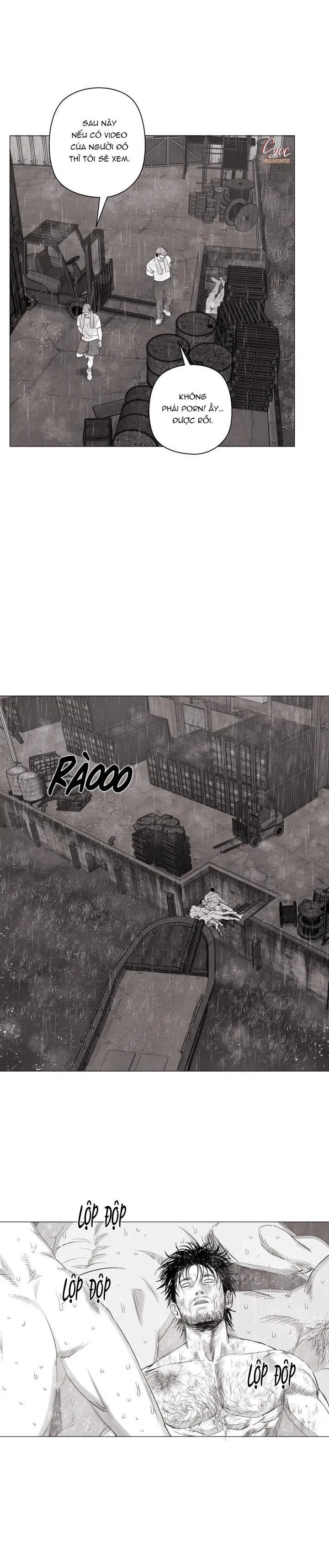 NHÀ VÔ ĐỊCH NGOAN CƯỜNG Chapter 17 Trang 17