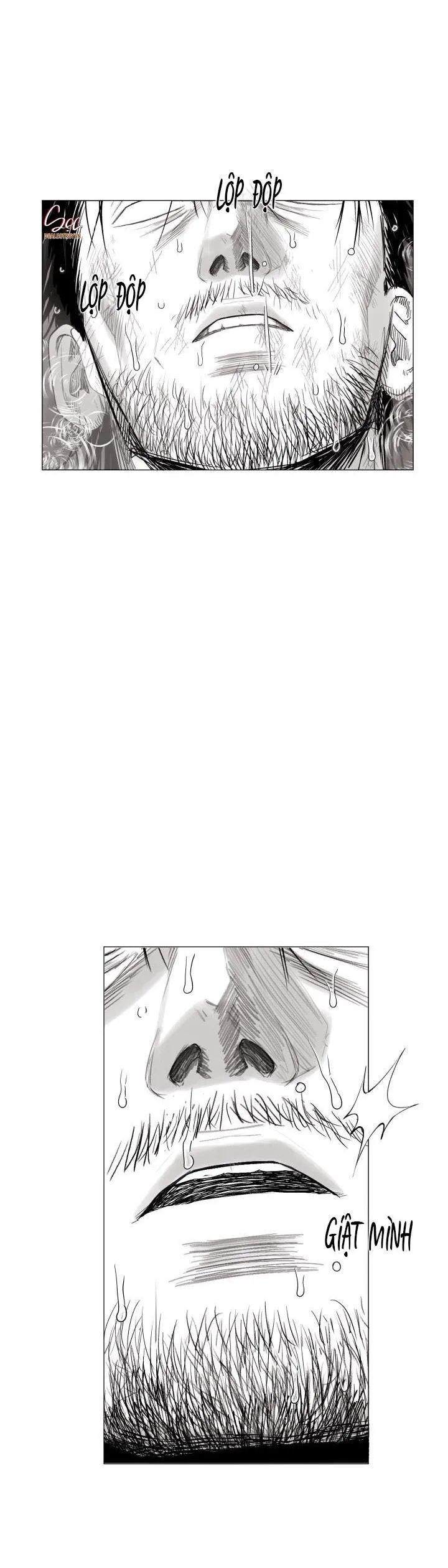 NHÀ VÔ ĐỊCH NGOAN CƯỜNG Chapter 17 Trang 18