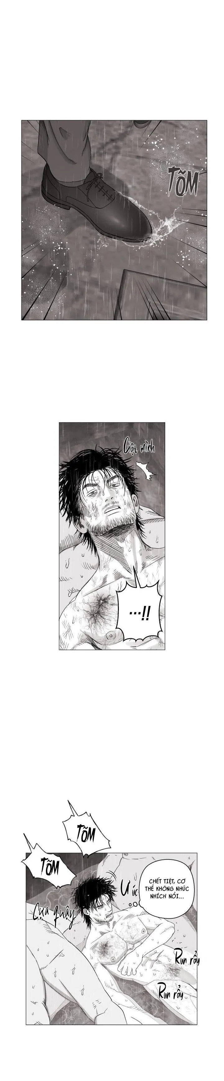 NHÀ VÔ ĐỊCH NGOAN CƯỜNG Chapter 17 Trang 24