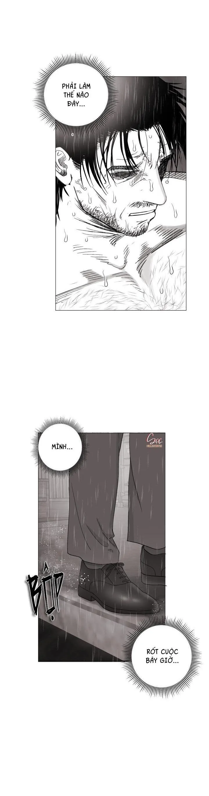 NHÀ VÔ ĐỊCH NGOAN CƯỜNG Chapter 17 Trang 25