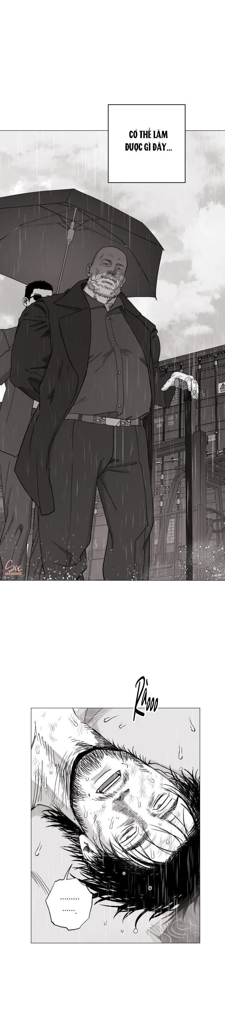 NHÀ VÔ ĐỊCH NGOAN CƯỜNG Chapter 17 Trang 26