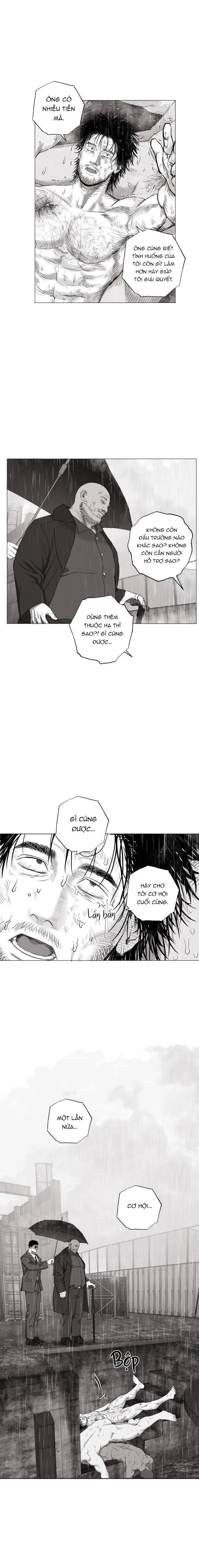 NHÀ VÔ ĐỊCH NGOAN CƯỜNG Chapter 18 Trang 3