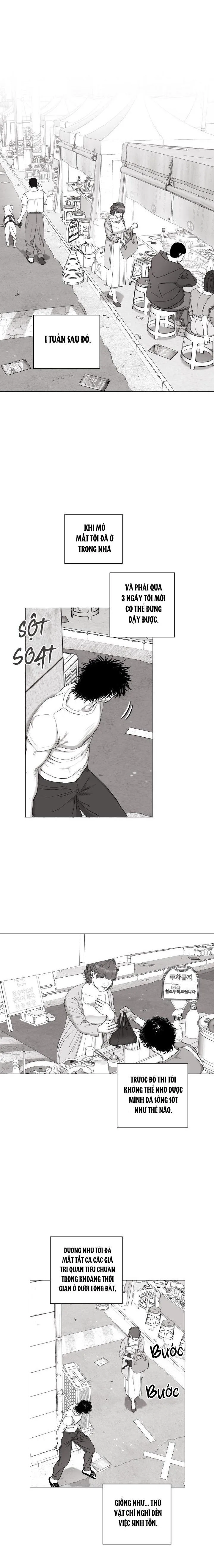 NHÀ VÔ ĐỊCH NGOAN CƯỜNG Chapter 18 Trang 5