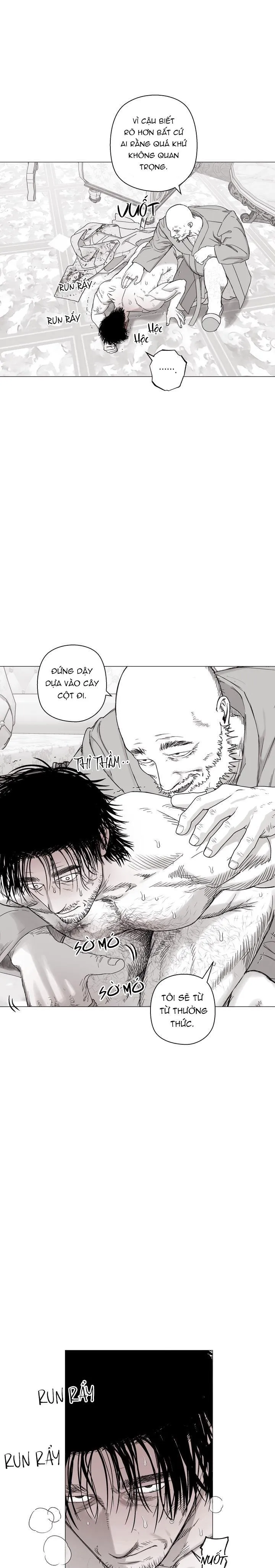 NHÀ VÔ ĐỊCH NGOAN CƯỜNG Chapter 19 Trang 19