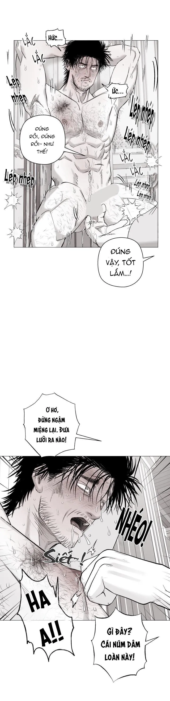 NHÀ VÔ ĐỊCH NGOAN CƯỜNG Chapter 20 Trang 11