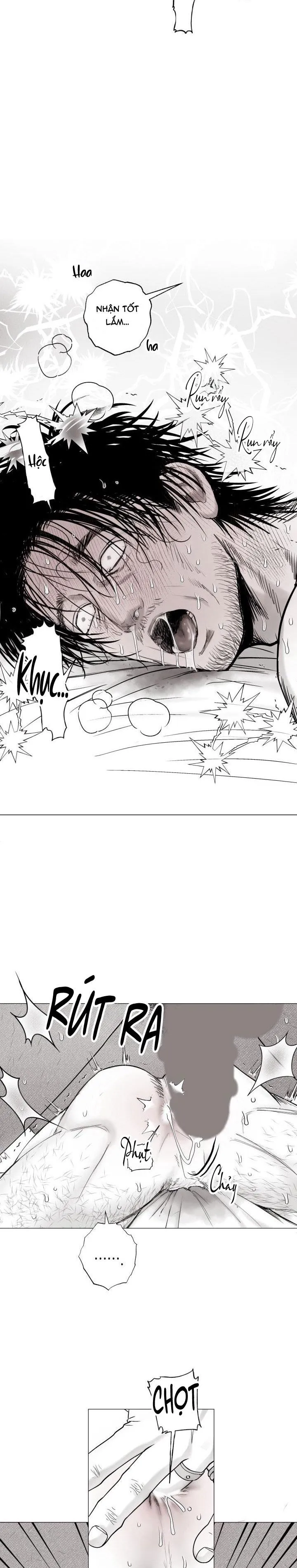 NHÀ VÔ ĐỊCH NGOAN CƯỜNG Chapter 21 Trang 9