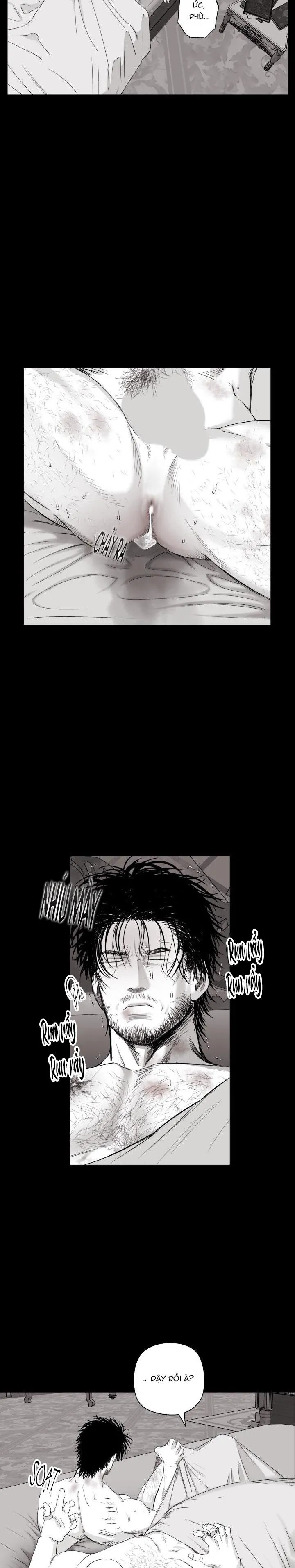 NHÀ VÔ ĐỊCH NGOAN CƯỜNG Chapter 22 Trang 5