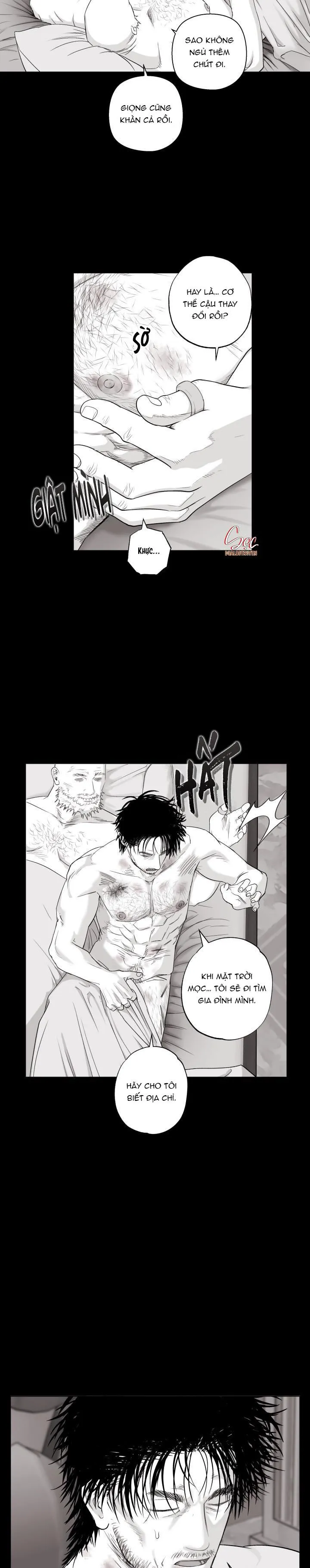 NHÀ VÔ ĐỊCH NGOAN CƯỜNG Chapter 22 Trang 6