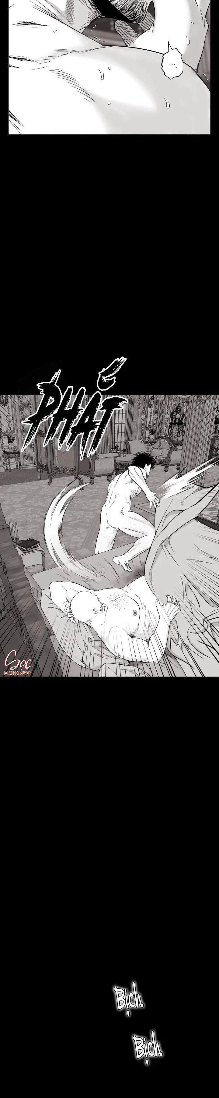 NHÀ VÔ ĐỊCH NGOAN CƯỜNG Chapter 22 Trang 12