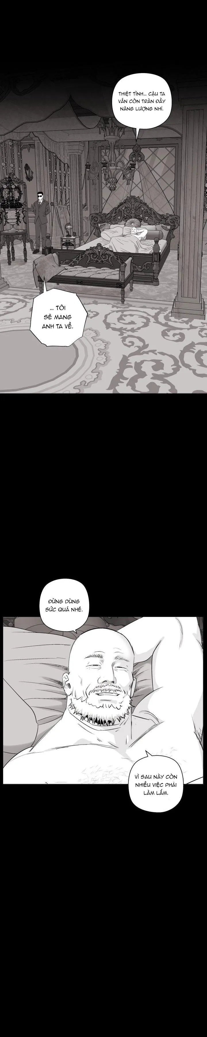 NHÀ VÔ ĐỊCH NGOAN CƯỜNG Chapter 22 Trang 13