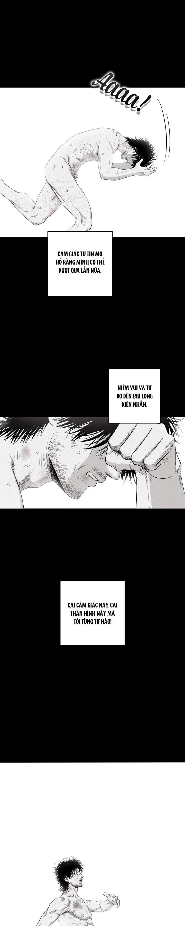 NHÀ VÔ ĐỊCH NGOAN CƯỜNG Chapter 22 Trang 15