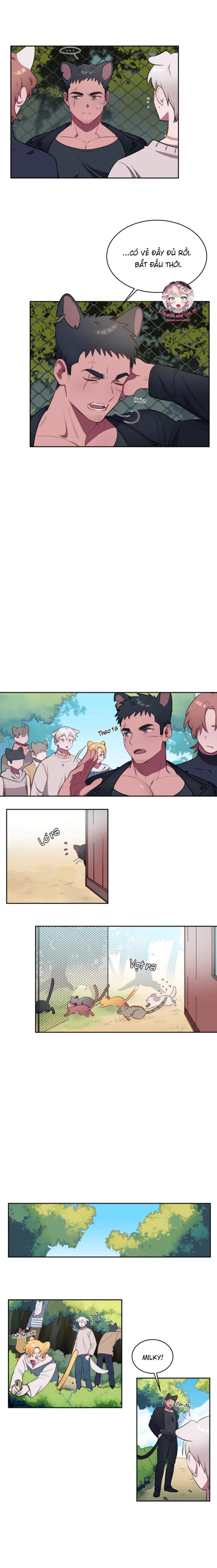 Nhận Lấy Tình Yêu Chapter 2 Trang 5