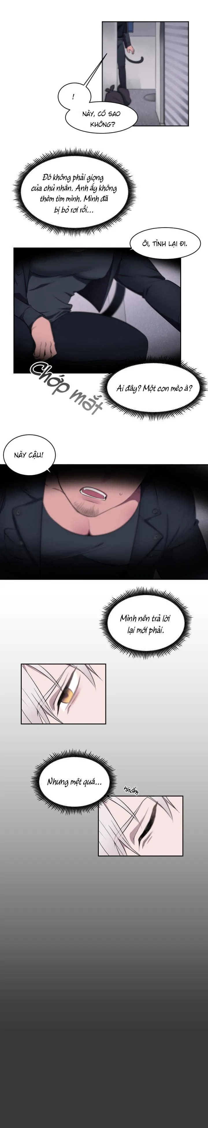 Nhận Lấy Tình Yêu Chapter 1 Trang 5