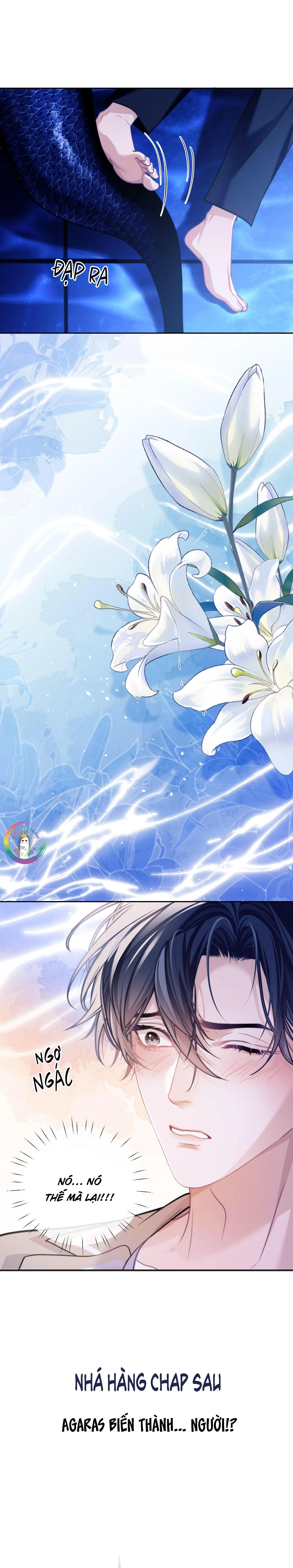 Nhân Ngư Desharow Chapter 17 Trang 12