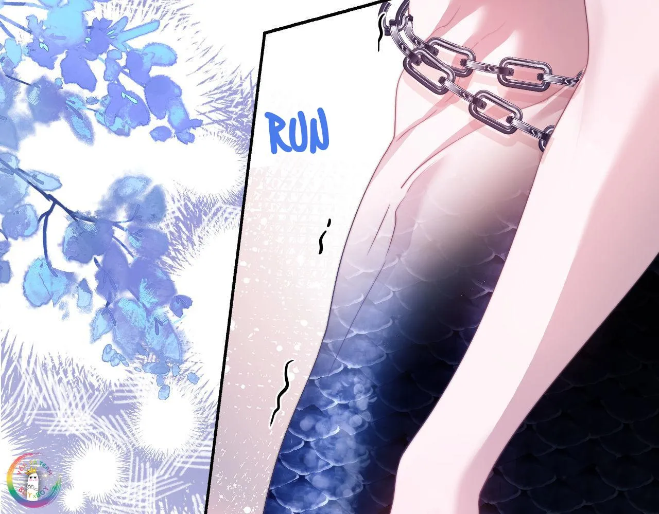 Nhân Ngư Desharow Chapter 27 Trang 15