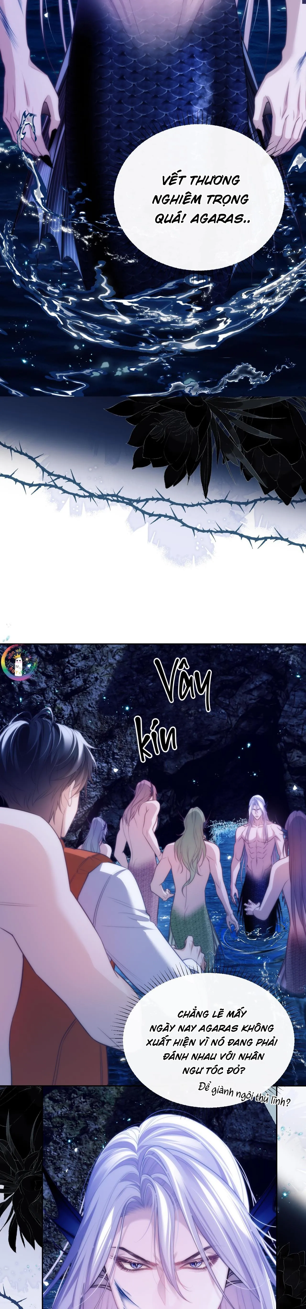 Nhân Ngư Desharow Chapter 41 Trang 13