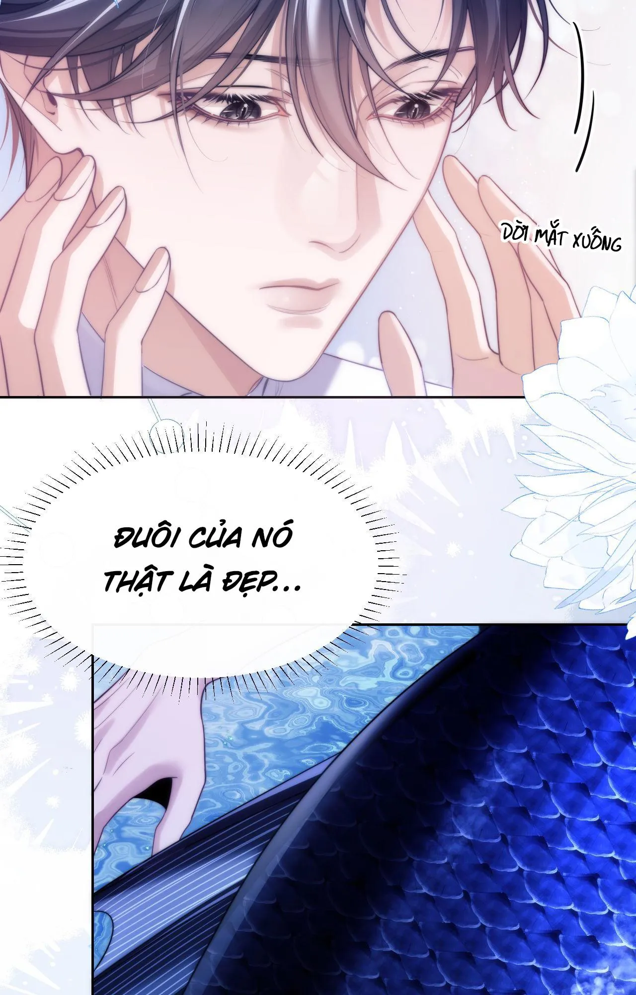 Nhân Ngư Desharow Chapter 44 Trang 46