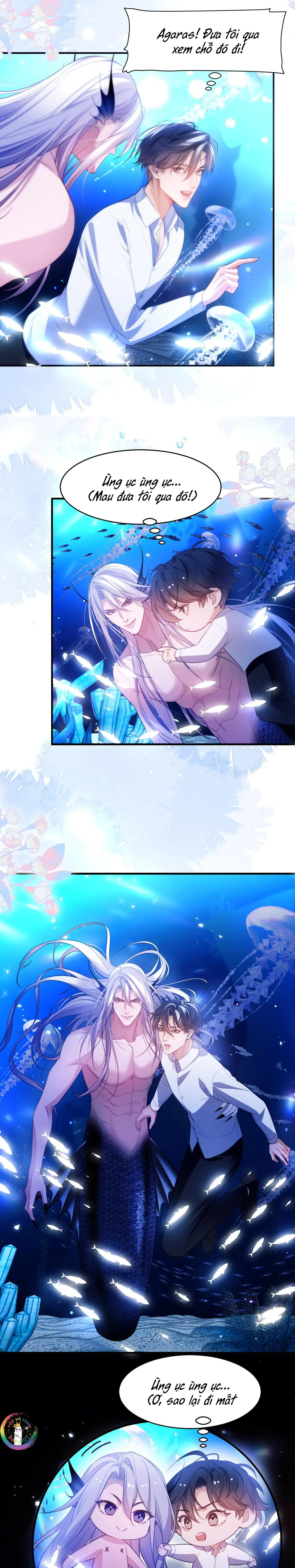 Nhân Ngư Desharow Chapter 59 Trang 3