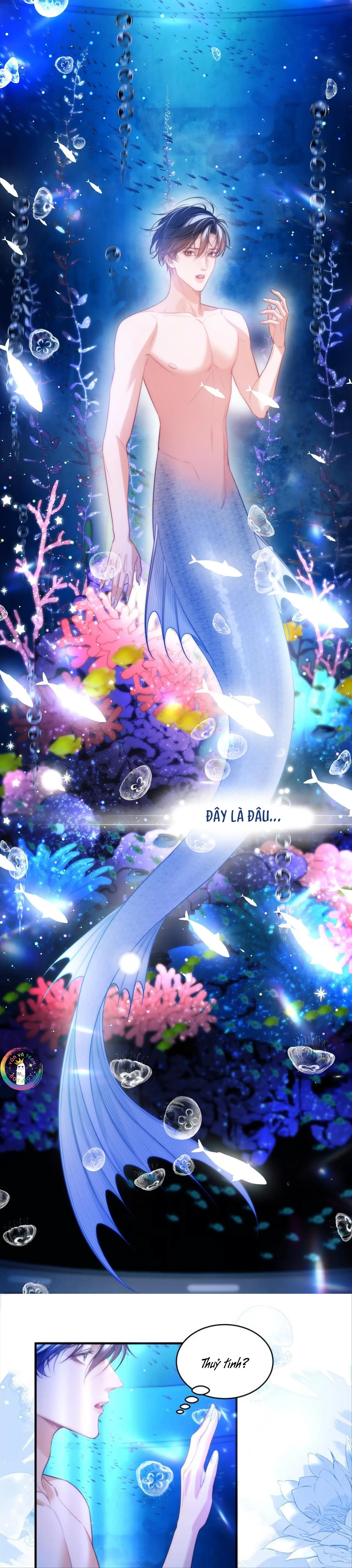 Nhân Ngư Desharow Chapter 60 Trang 3