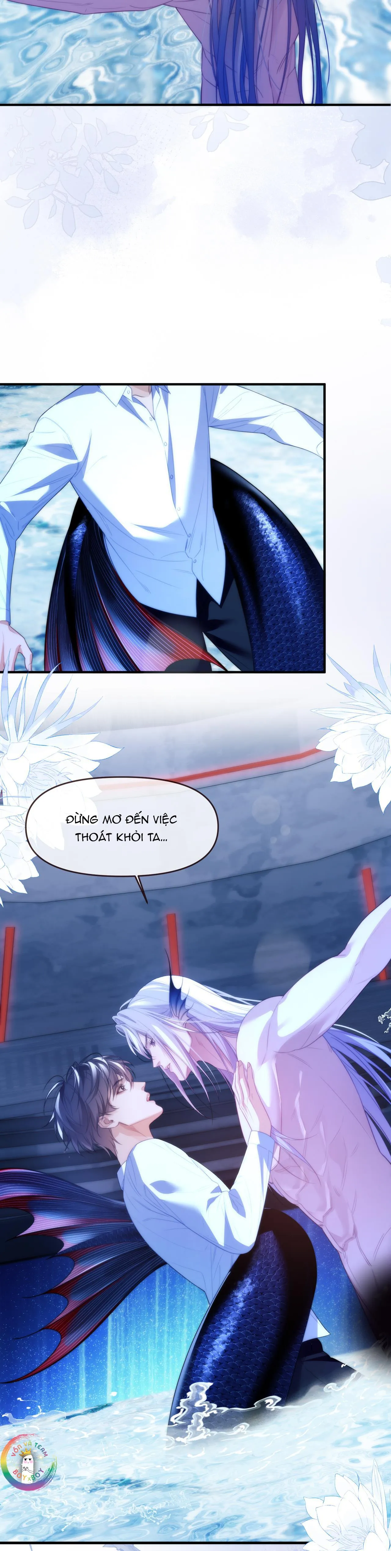 Nhân Ngư Desharow Chapter 77 Trang 12