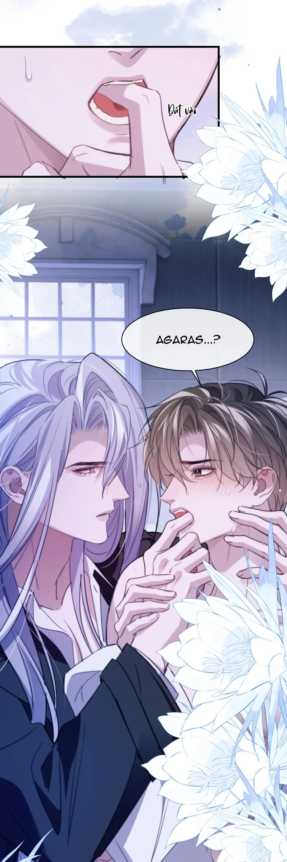 Nhân Ngư Desharow Chapter 94 Trang 16