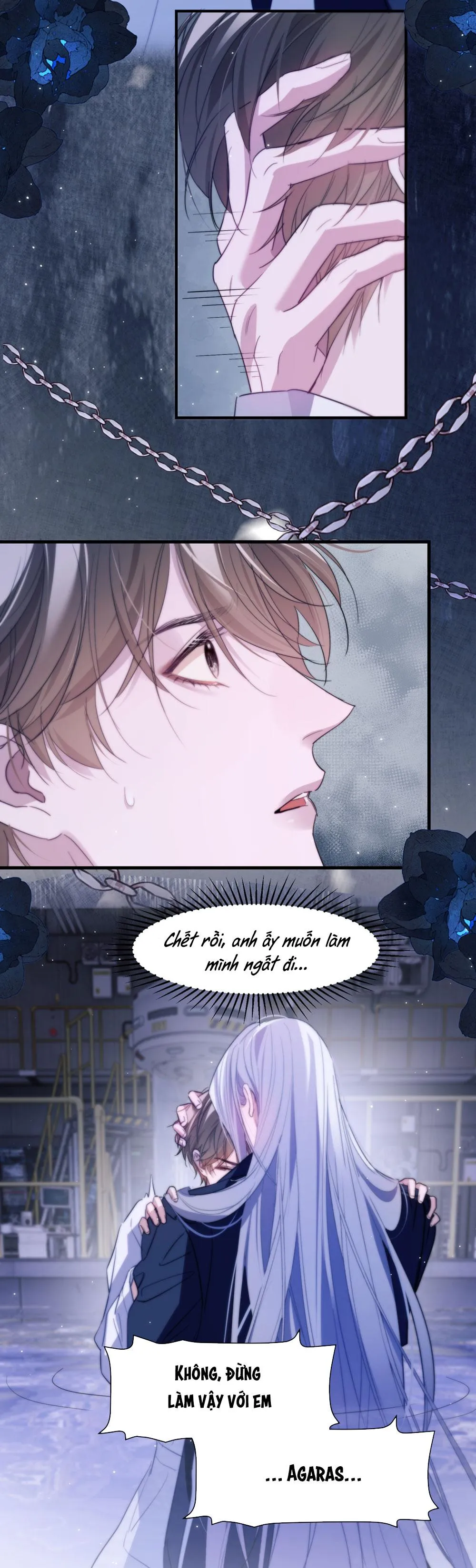 Nhân Ngư Desharow Chapter 95 Trang 5