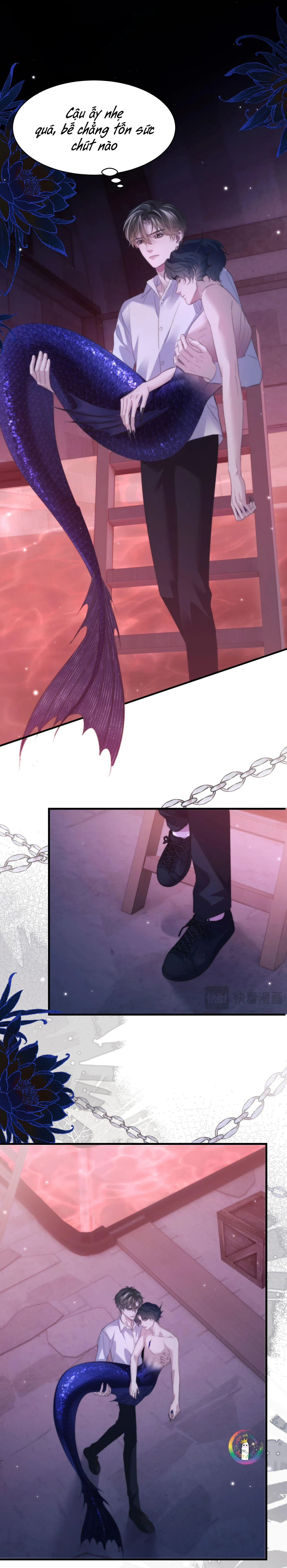 Nhân Ngư Desharow Chapter 113 Trang 3