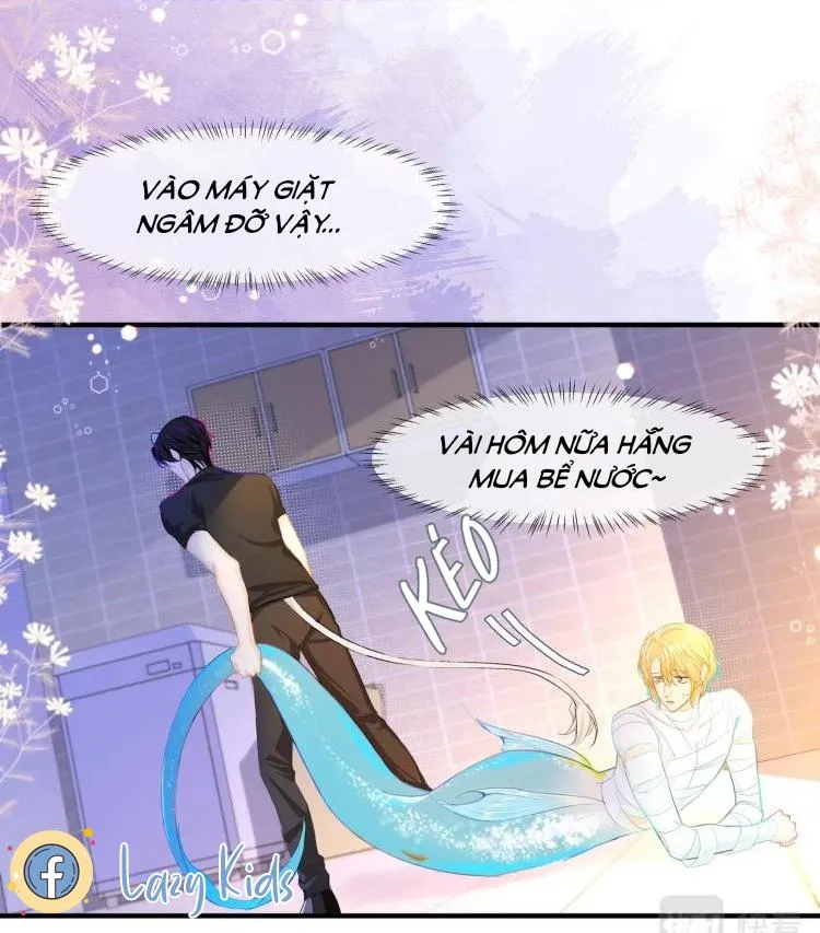 Nhân ngư sa ngã Chapter 3 Trang 13