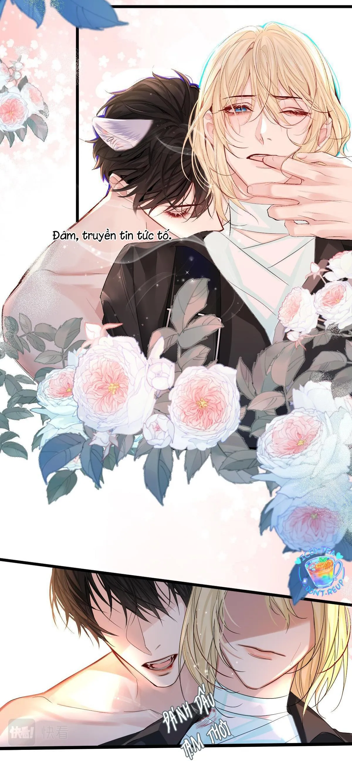 Nhân ngư sa ngã Chapter 28 Trang 4