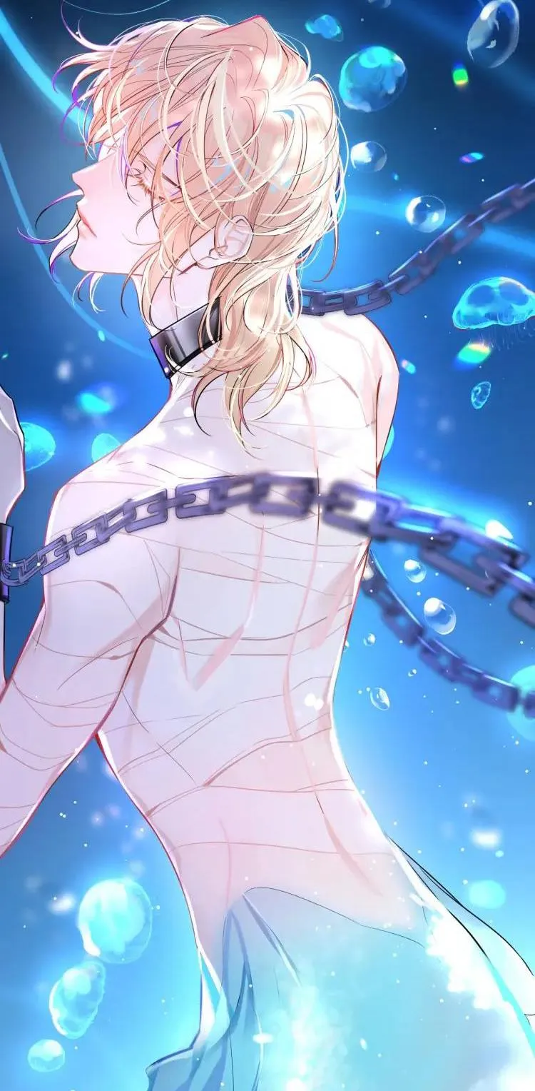 Nhân ngư sa ngã Chapter 1 Trang 13