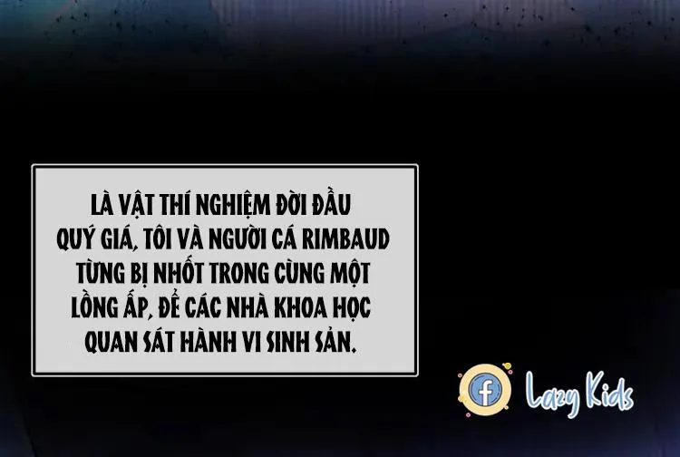 Nhân ngư sa ngã Chapter 1 Trang 19