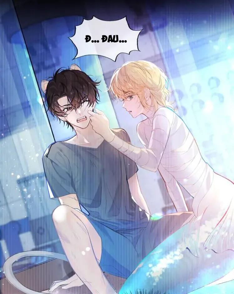 Nhân ngư sa ngã Chapter 1 Trang 20