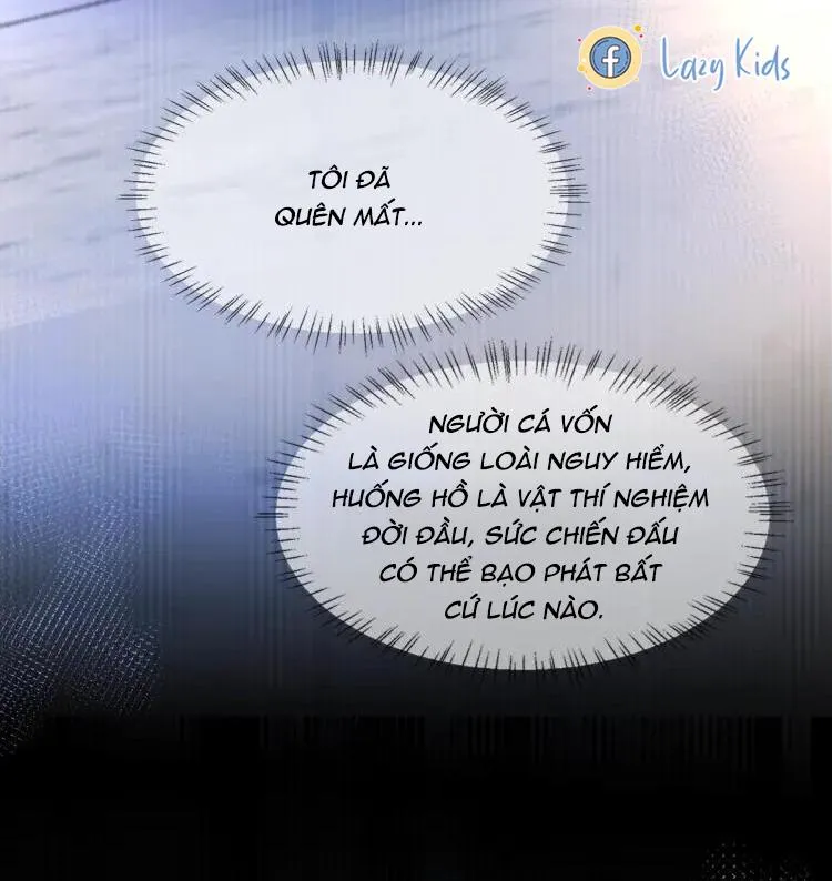 Nhân ngư sa ngã Chapter 1 Trang 25