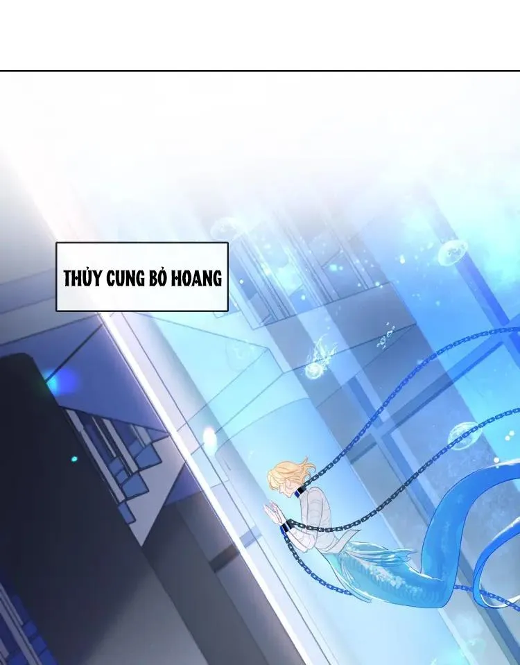 Nhân ngư sa ngã Chapter 1 Trang 31