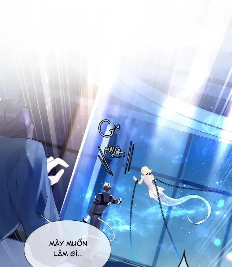 Nhân ngư sa ngã Chapter 1 Trang 49