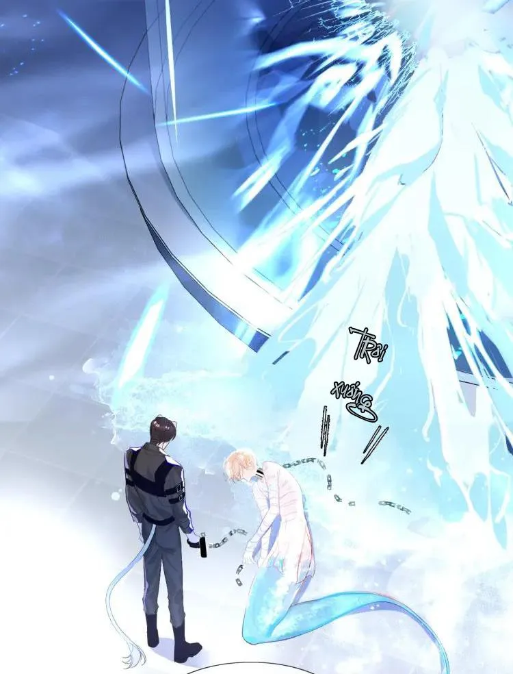 Nhân ngư sa ngã Chapter 1 Trang 52