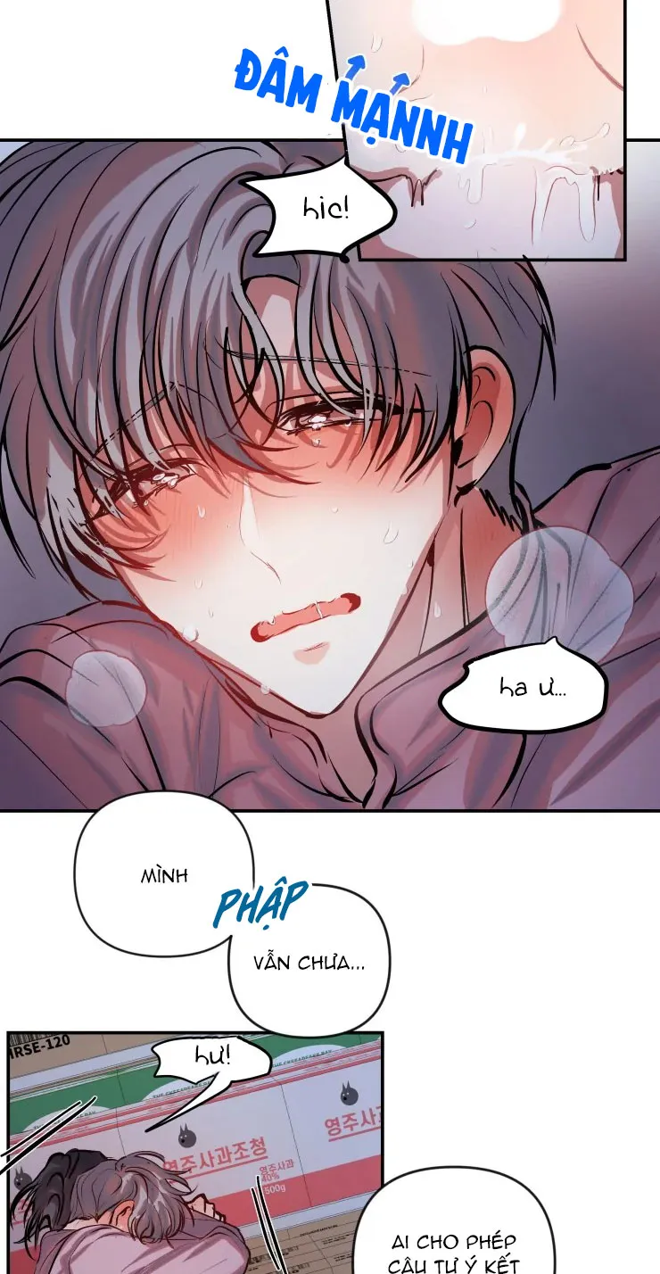 Nhân viên hợp đồng tình yêu Chapter 29 Trang 11