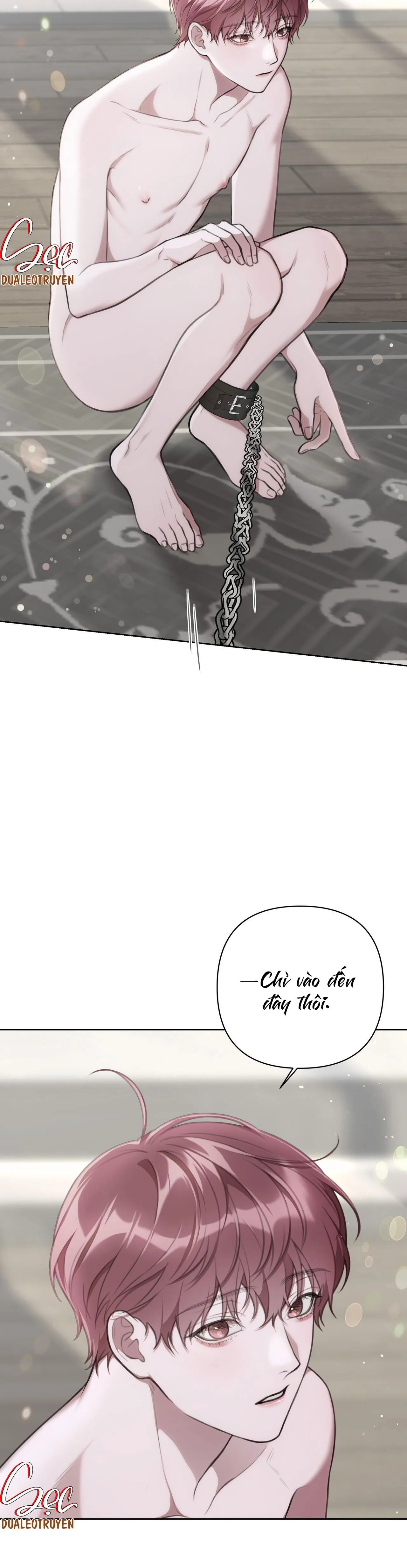 NHẬT KÝ GIAM CẦM THƯ KÝ JIN Chapter 13 Trang 7