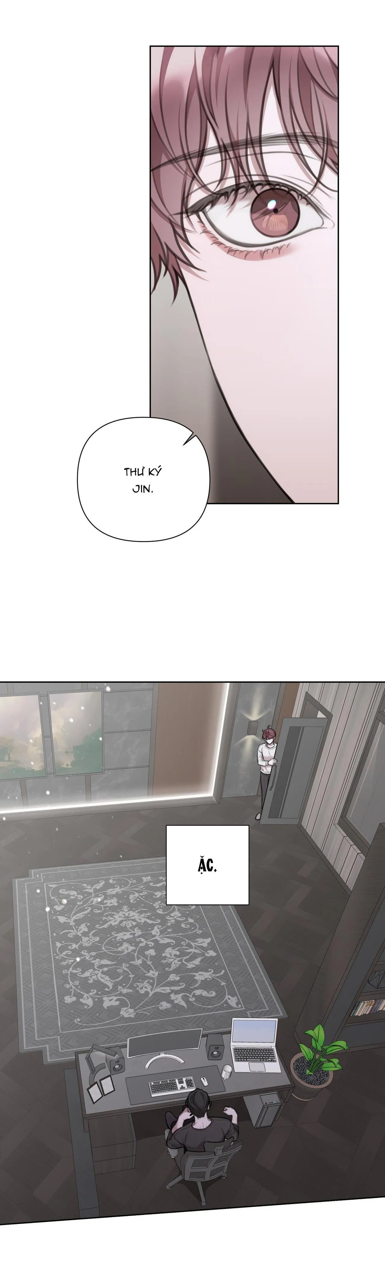 NHẬT KÝ GIAM CẦM THƯ KÝ JIN Chapter 25 Trang 13