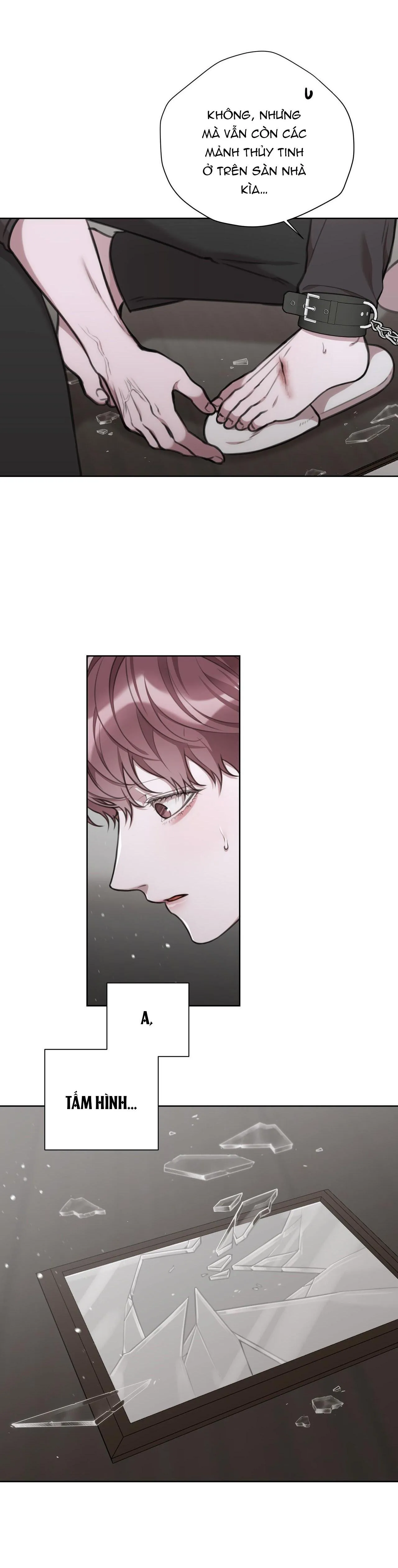 NHẬT KÝ GIAM CẦM THƯ KÝ JIN Chapter 28 Trang 11